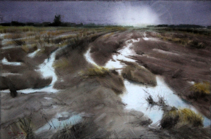 Cánh đồng 3,38x56 cm,màu nước trên giấy, 2016