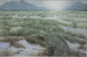 Cánh đồng 5,38x56 cm,màu nước trên giấy, 2016