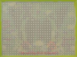 Hoa Mai, 60x 80 cm, 2024, lụa, vải , chỉ thêu, màu nước.