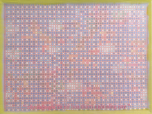 Hoa mộc, 60x 80 cm, 2024, lụa, vải , chỉ thêu, màu nước.