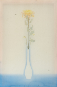 Tĩnh vật hoa, 50x70 cm,2022, màu nước , lụa