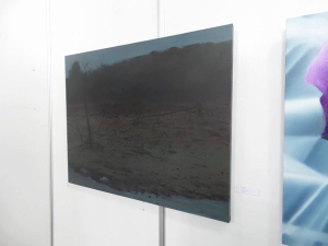 Cánh đồng 11, 70x90 cm, 2017, tổng hợp