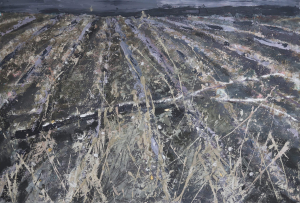 Cánh đồng 7, 80x120 cm, 2019, tổng hợp