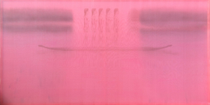 tamkinh 4, 90x180 cm, lụa, màu nước,2024